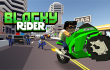 Blocky Rider img