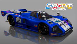 Circuit Racing img