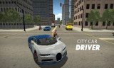 City Car Driver