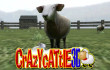Crazy Cattle 3D img