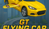 Gt Flying Car Racing