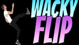 Mr Flip Mr Flip img